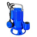 DG Blue