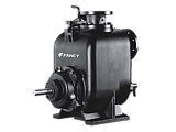  Fancy SP-10   