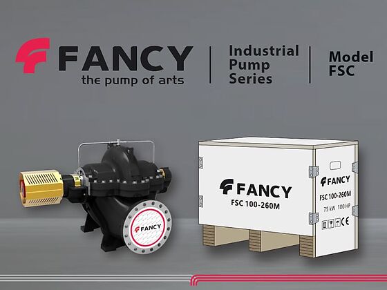 Насос FANCY FSC 100-260M и заводская упаковка