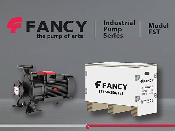 Моноблочный насос FANCY FST 50-250/185 и заводская упаковка