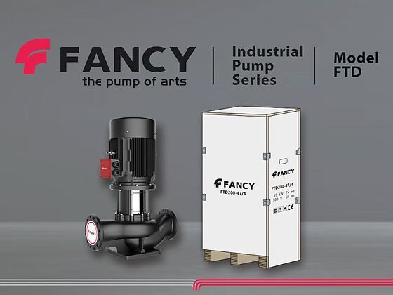Линейный циркуляционный насос FANCY FTD и заводская упаковка