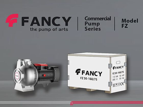 Консольный насос FANCY FZ 50-160/75 и заводская упаковка