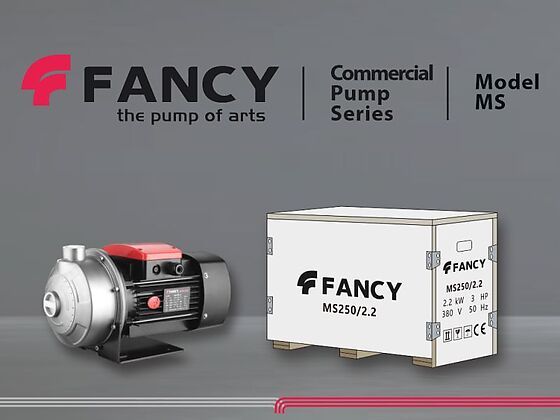 Одноступенчатый нержавеющий насос FANCY MS