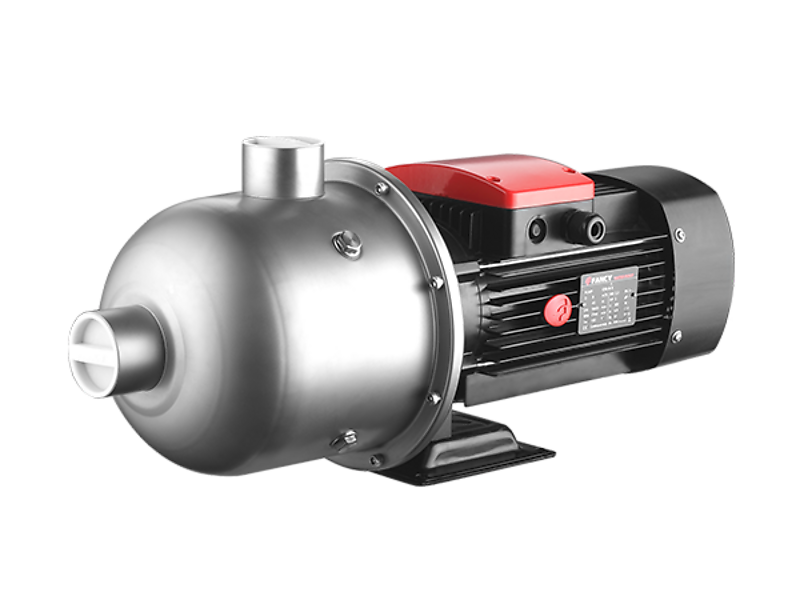  Fancy CHL2-2   