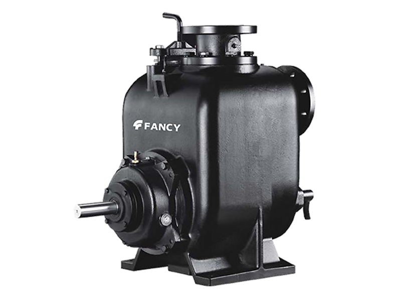  Fancy SP-10   
